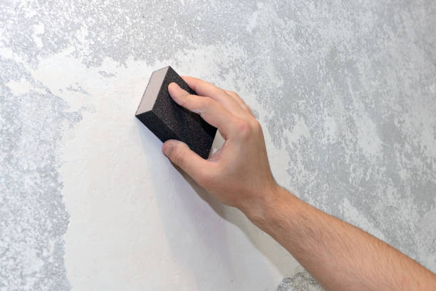 Best Post-Construction Mold Inspection  in Austin, AR
