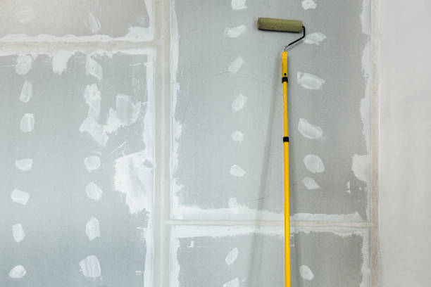 Best Basement Mold Removal  in Austin, AR