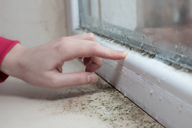 Best Air Quality Testing for Mold Spores  in Austin, AR