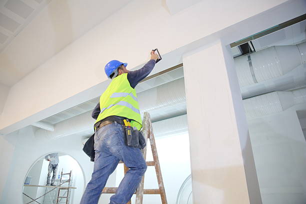 Best Black Mold Removal  in Austin, AR