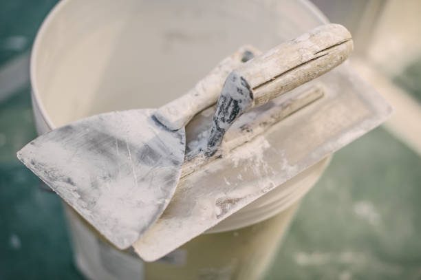 Best Mold Damage Restoration  in Austin, AR